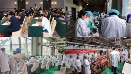 練本領(lǐng) 強(qiáng)技能 促提升——2023年煙臺(tái)市鄉(xiāng)村振興暨農(nóng)業(yè)農(nóng)村行業(yè)職業(yè)技能競(jìng)賽動(dòng)物檢疫檢驗(yàn)員競(jìng)賽圓滿落幕